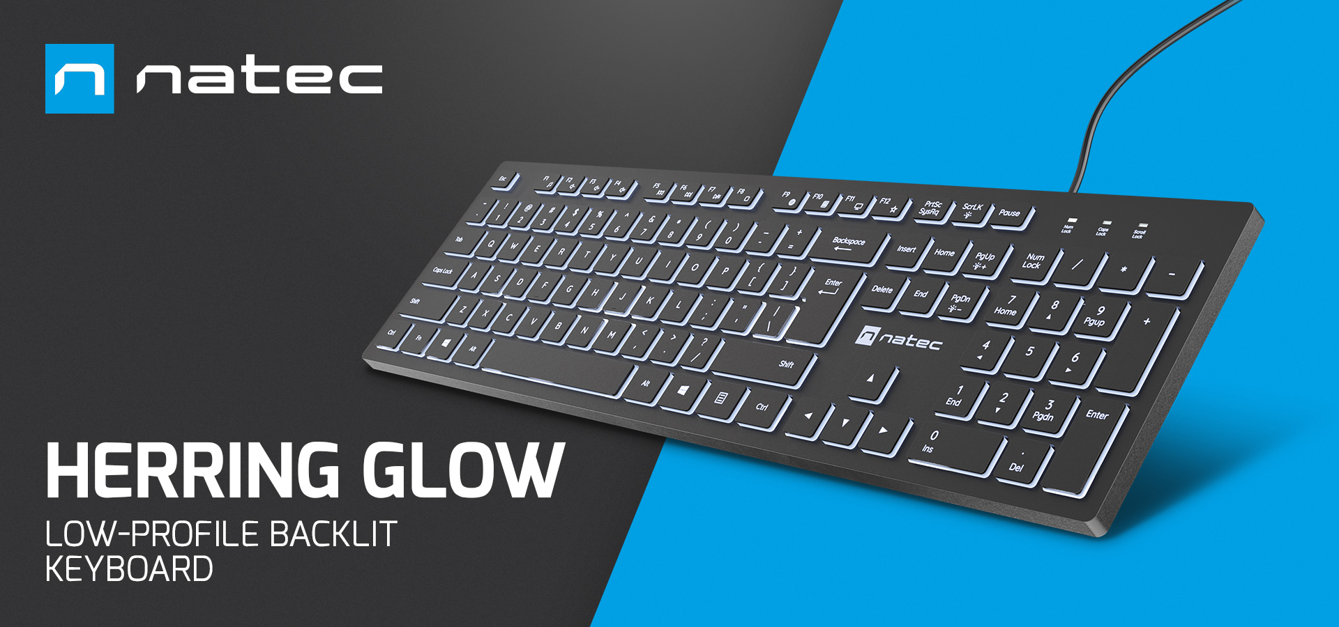 Keyboard with a low profile design and white backlighting for easy visibility in low light.