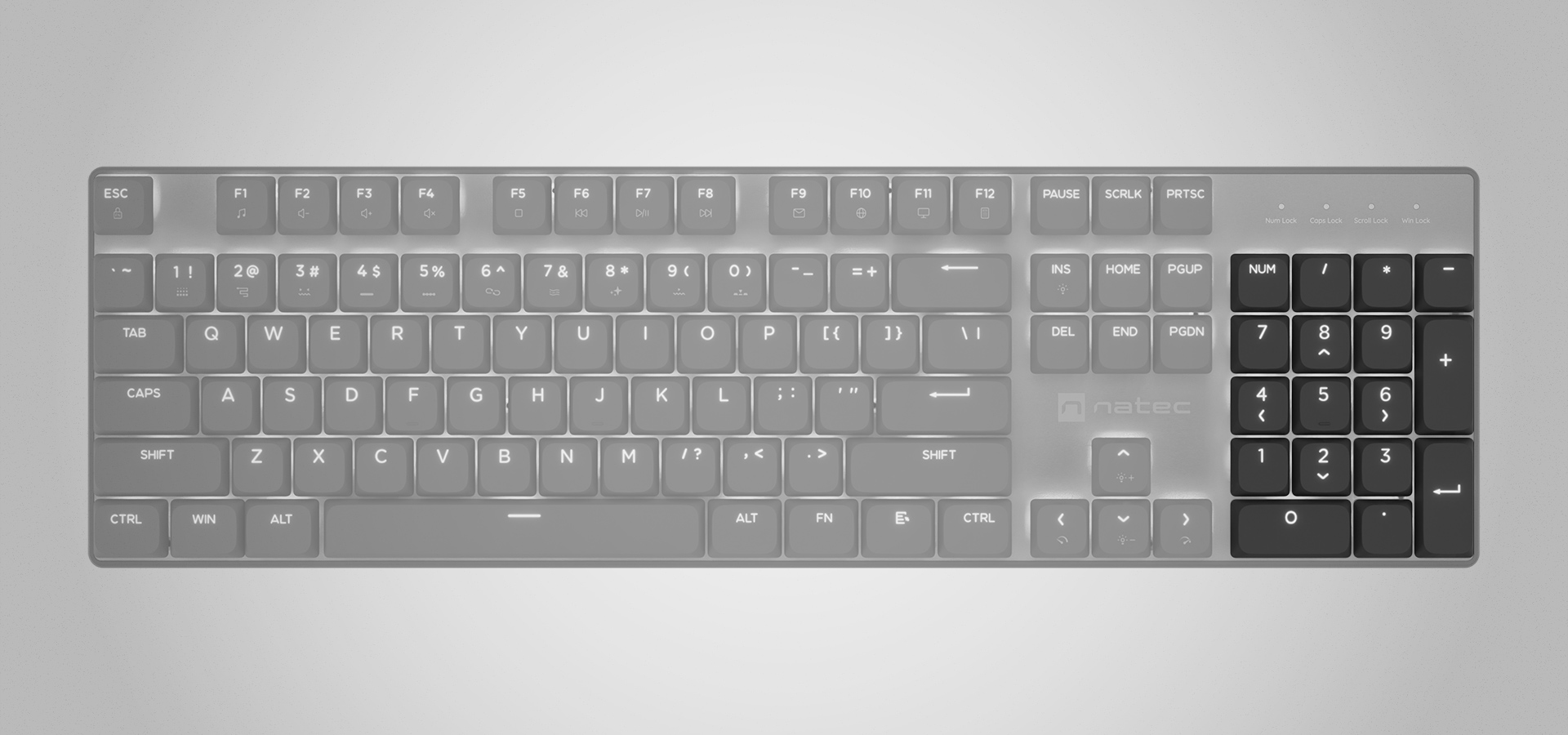 Gray keyboard with various function keys and a numeric keypad on the right side.