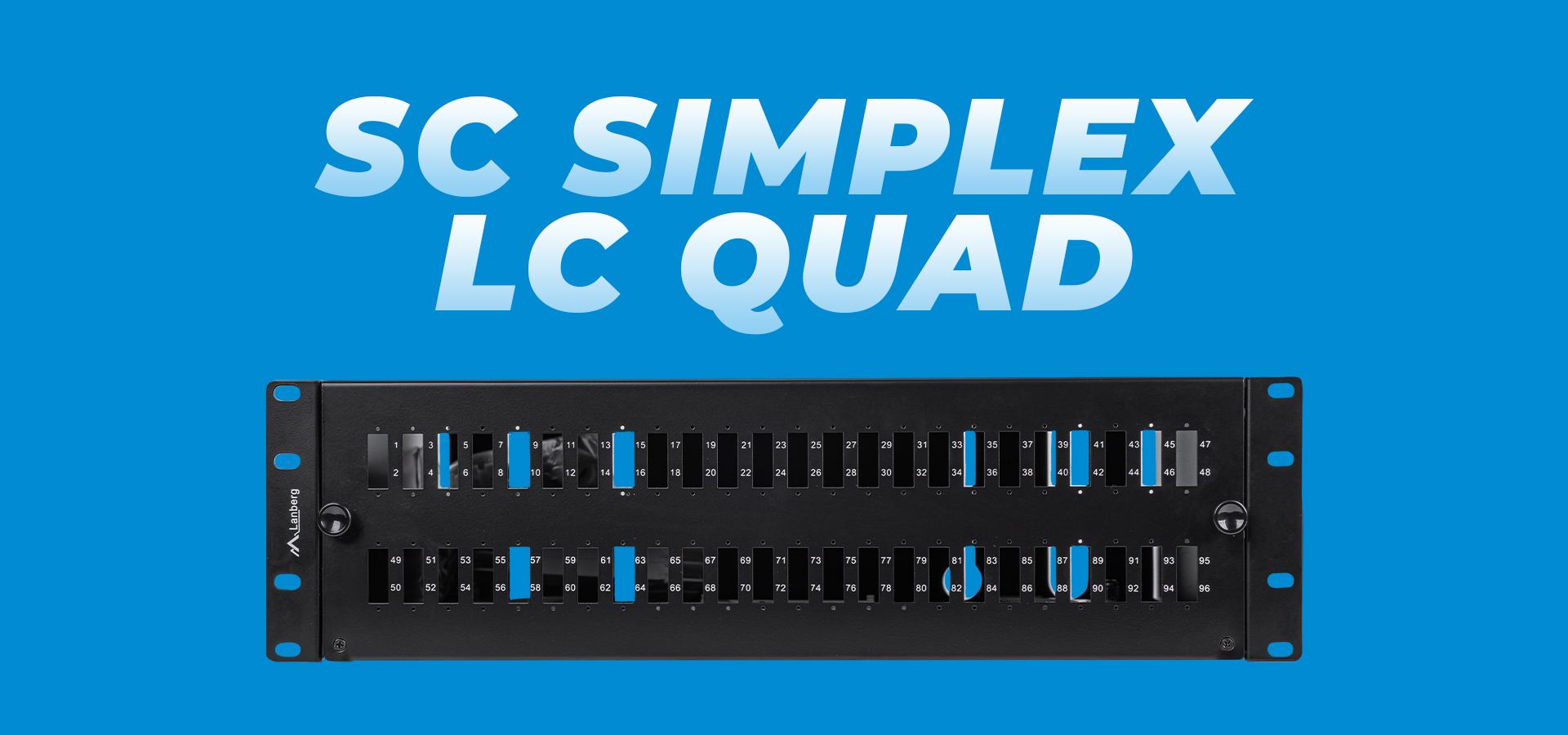 Black panel with multiple connectors arranged in rows for network connections.