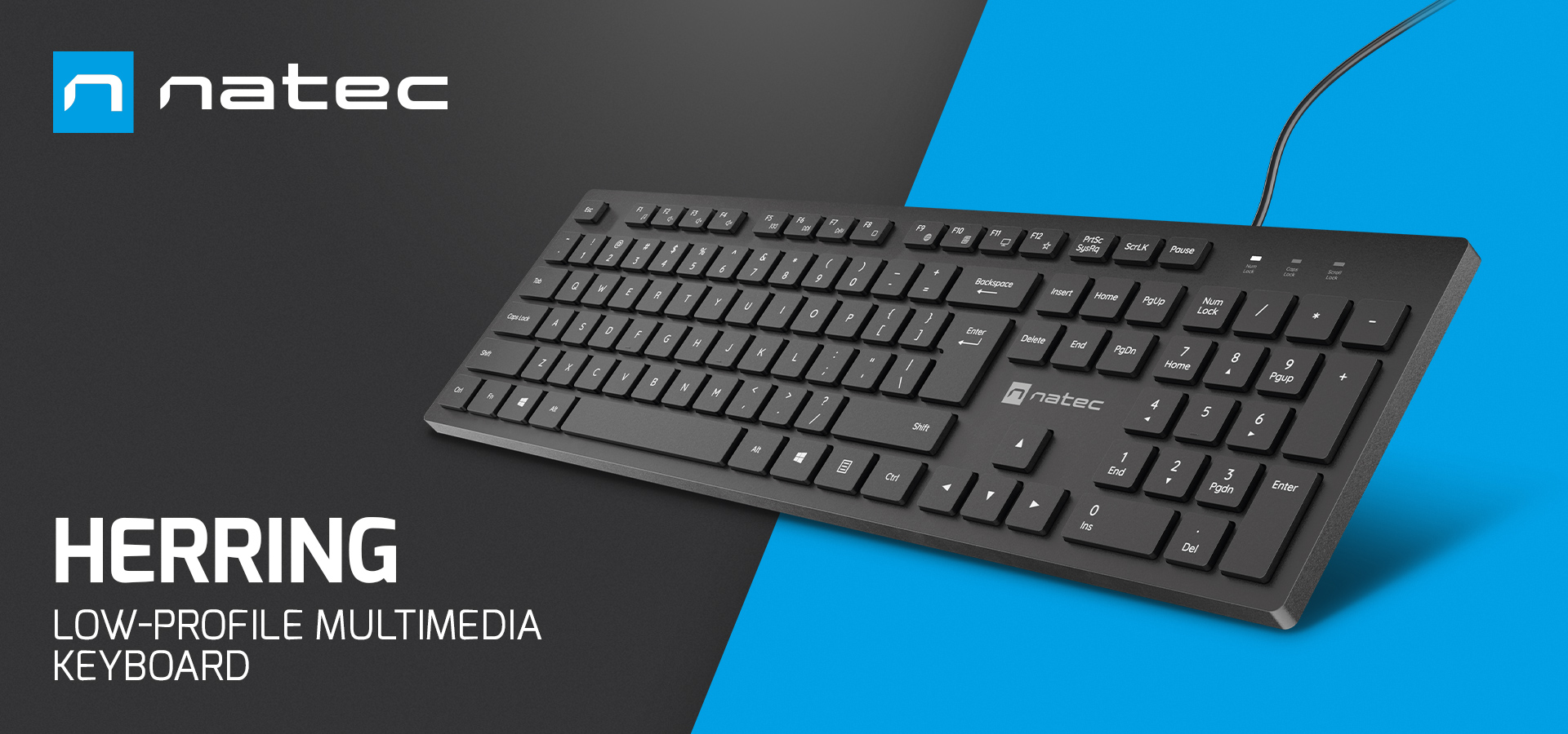 Black low-profile multimedia keyboard with a wired connection and rectangular keys.