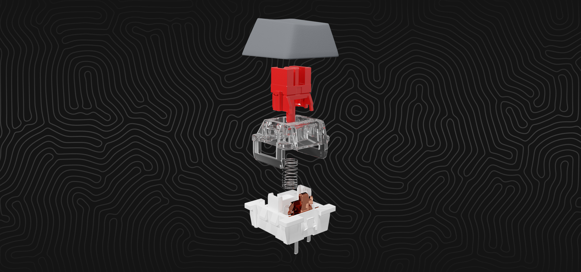 Widok eksplodowany mechanicznego przełącznika klawisza z kolorowymi elementami i sprężyną.